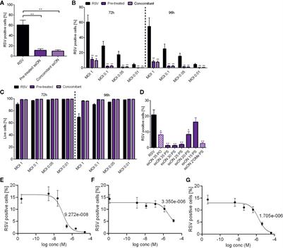 Single-Stranded Oligonucleotide-Mediated Inhibition of <mark class="highlighted">Respiratory Syncytial Virus Infection</mark>